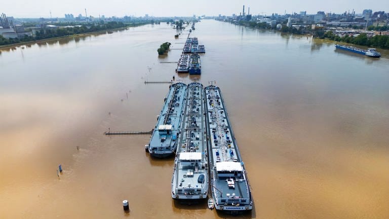 Idylle nach der Flut: Frachtschiffe liegen am Dienstag (4.6.) auf dem Rhein bei Mannheim.