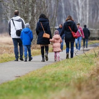 Spaziergänger sind auf einem Rundweg am Federsee unterwegs.