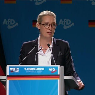 Alice Weidel, AfD