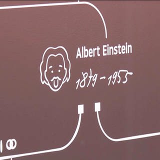 Stammbaum Albert Einstein