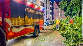 Die Feuerwehr Rastatt beseitigt Äste eines umgestürzten Baumes nach einem schweren Unwetter.