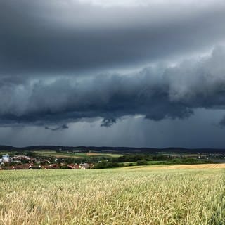 Eine Gewitterzelle mit dunklen Wolken baut sich am Himmel und hinter Feldern nahe Heilbronn auf. Der Deutsche Wetterdienst (DWD) hat gewarnt, es könne zu Gewittern und Unwettern kommen.