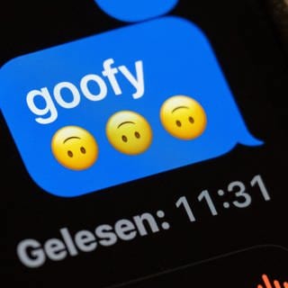 Im Display eines Smartphones ist in einem Chat-Verlauf das Wort "goofy" (komisch, tollpatschig) zu lesen. Nun wird das Jugendwort des Jahres 2024 gesucht.