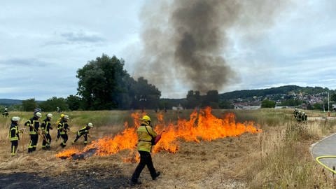 Die Freiwillige Feuerwehr Plüderhausen (Rems-Murr-Kreis) übt auf einem Feld das Löschen eines Flächenbrands.