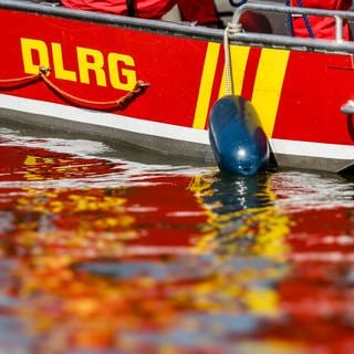 Ein Motorboot der DLRG fährt bei einer Katastrophenschutzübung über einen Fluss (Symbolbild).