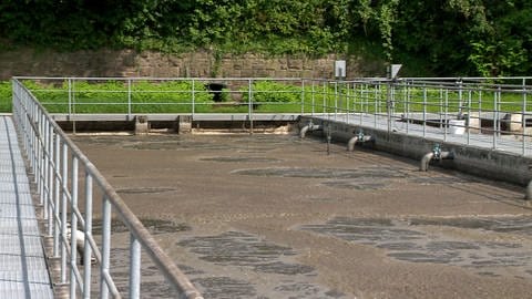 In schwimmbadgroßen Klärbecken sprudelt braunes Wasser.