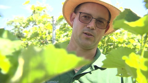 Johannes Kiefer hinter einem Rebstock. Der Winzer gründete sein Weingut 2007. Er ist nach eigenen Angaben ein "nicht vorbelasteter Quereinsteiger". 