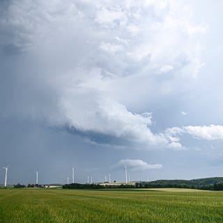 Eine Regenfront mit dunklen Wolken ist hinter einem Gerstenfeld bei Böhmenkirch zu sehen. 