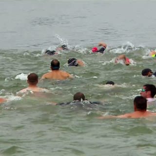 Triathleten im Wasser