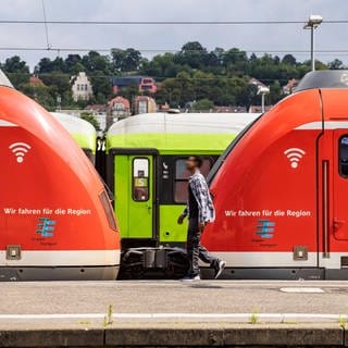 Züge stehen am Hauptbahnhof Stuttgart