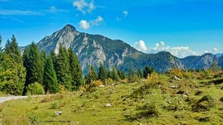 Ausblick auf die Landschaft der Alm in Salzburg, Österreich, mit Blick auf einen Berg und Bäume.