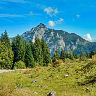 Ausblick auf die Landschaft der Alm in Salzburg, Österreich, mit Blick auf einen Berg und Bäume.