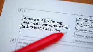 Ein Kugelschreiber liegt auf einem Antrag zur Eröffnung eines Insolvenzverfahrens. Die Zahl der Insolvenzen hat im ersten Halbjahr 2024 stark zugenommen.