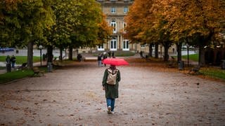 Eine Frau geht mit ihrem Regenschirm bei regnerischem Wetter durch eine Baumallee am Schlossplatz.