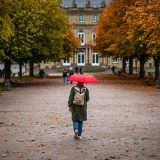 Eine Frau geht mit ihrem Regenschirm bei regnerischem Wetter durch eine Baumallee am Schlossplatz.