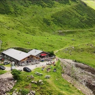 Eine Alm in Österreich