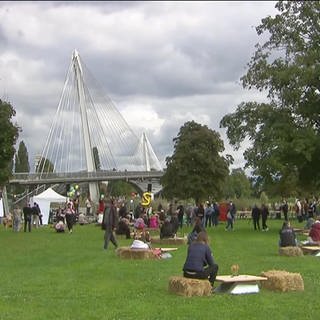 Viele Menschen bei einem Fest auf einer Wiese am Rhein