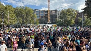 Teilnehmende der Fridays for Future Demonstration auf dem Platz der alten Synagoge in Freiburg am Freitag. Die Klimabewegung hatte zu bundesweiten Streiks aufgerufen.