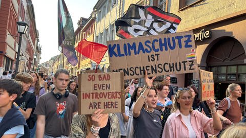 Auch in Heidelberg gingen Menschen auf die Straße, um für mehr Klimaschutz zu demonstrieren.