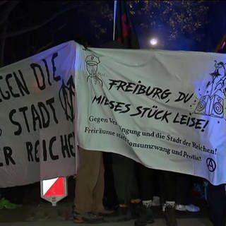 Demonstranten in Freiburg