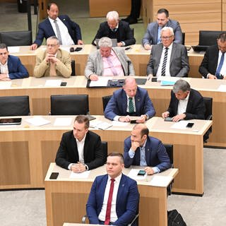 Anton Baron, (AfD), Fraktionsvorsitzender der AfD im Landtag von Baden-Württemberg, sitzt bei einer Landtagssitzung mit Regierungserklärung zum Bildungspaket der Landesregierung vor seiner AfD Fraktion.