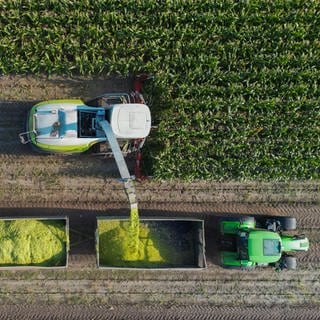 Auf einem Feld der Agrargenossenschaft Vorspreewald eG im brandenburgischen Landkreis Spree-Neiße wird Mais gehäckselt (Luftaufnahme mit einer Drohne). 