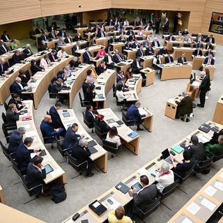 Der Landtag von Baden-Württemberg in Stuttgart.