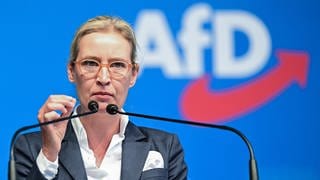 Die AfD-Bundessprecherin Alice Weidel.