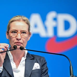 Die AfD-Bundessprecherin Alice Weidel.