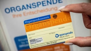 Ein Organspendeausweis wird zwischen zwei FIngern gehalten.