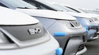 Hunderte Neuwagen des Modells Dolphin vom Autohersteller BYD stehen am Hafen. E-Autos von diesem Hersteller könnten durch Strafzölle gegen China teurer werden.