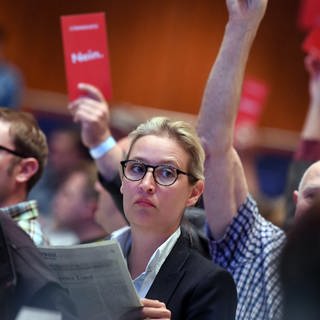 Alice Weidel, Vorsitzende der AfD-Bundestagsfraktion, nimmt als Mitglied des AfD Landesverbandes Baden-Württemberg am 14. Landesparteitag der AfD Baden-Württemberg teil. 