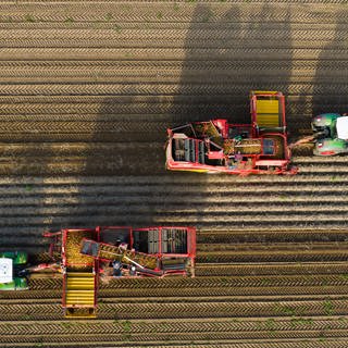 Das Foto zeigt Traktoren auf einem Feld bei der Ernte. Die grün-schwarze Landesregeirung will regionale Landwirte stärken.