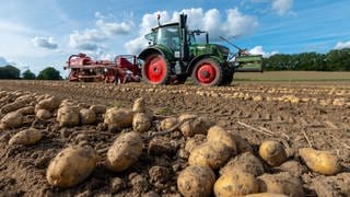 Ein Landwirt bei der Kartoffelernte