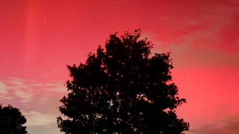 Ein Baum in Grabenstetten (Kreis Reutlingen), im Polarlicht. Die Lichter waren am Donnerstag (10.10.24) in Baden-Württemberg zu sehen.