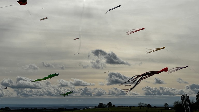 Knapp 300 Drachen fliegen am Sonntag (13.10.) am Himmel in Waldbrunn (Neckar-Odenwald-Kreis). Vom Kinderdrachen bis hin zum Profiflieger - die knapp 3.500 Besucherinnen und Besucher des Odenwälder Drachenfests bekommen so ziemlich jede Drachenart zu sehen.