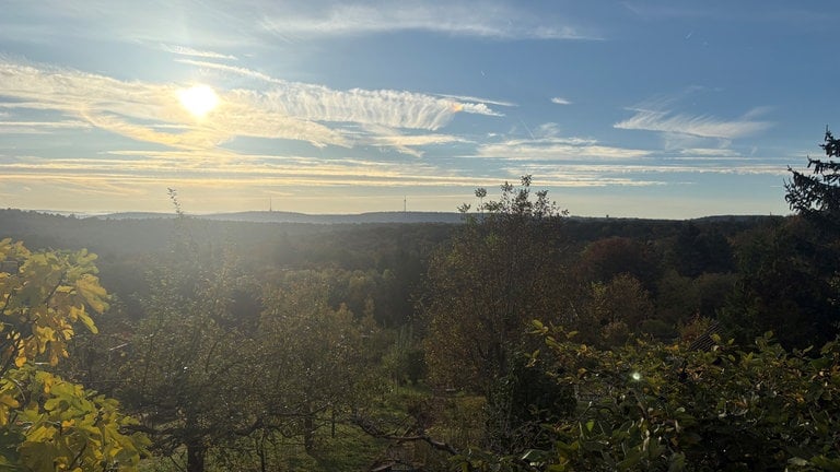 Ausblick auf Bäume und Sonnenschein in Stuttgart-Feuerbach von der Hohewart Richtung Kräherwald und Fernsehturm.