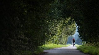 Ein Fahrradfahrer fährt in der Nähe von Tübingen (Baden-Württemberg) auf einem Feldweg.