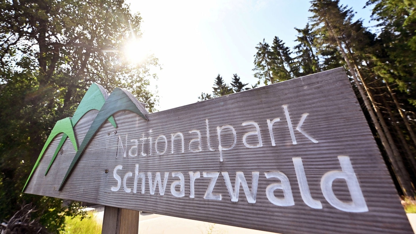 BW-Forstminister-will-Kampf-gegen-gr-ere-Erweiterung-des-Nationalparks-Schwarzwald-fortsetzen