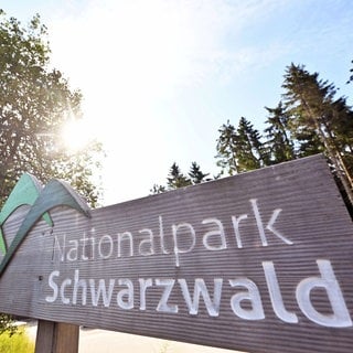 Ein Schild weist auf den Nationalpark Schwarzwald hin. Eigentlich hatten sich CDU und Grüne auf dessen Erweiterung verständigt.