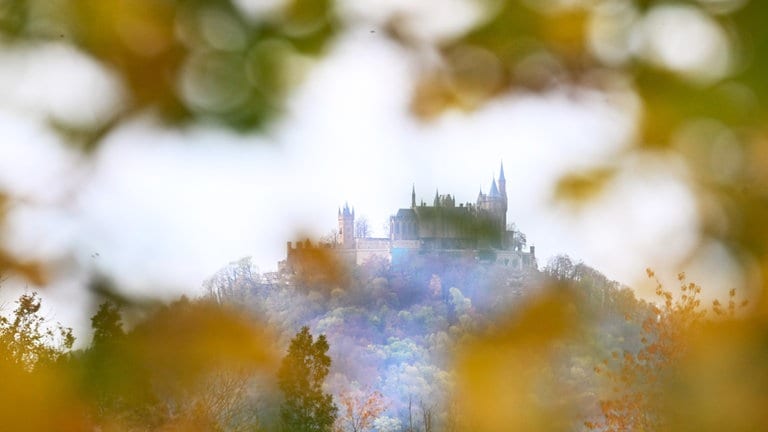 Die Burg Hohenzollern bei Hechingen, aufgenommen durch herbstlich verfärbtes Laub an einem Baum.