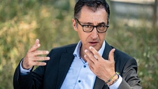 Cem Özdemir, Grüne