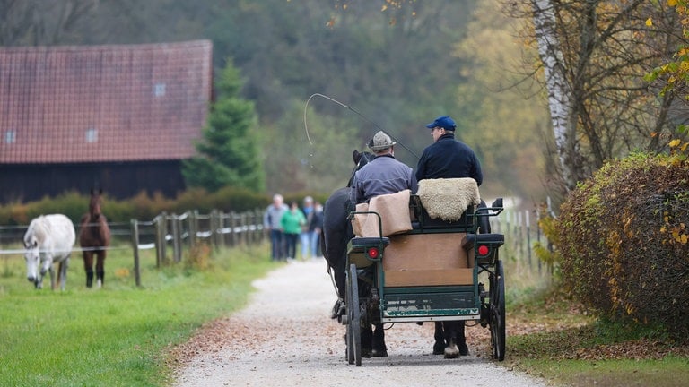 Eine Kutsche und Spaziergänger sind auf der Schwäbischen Alb unterwegs.