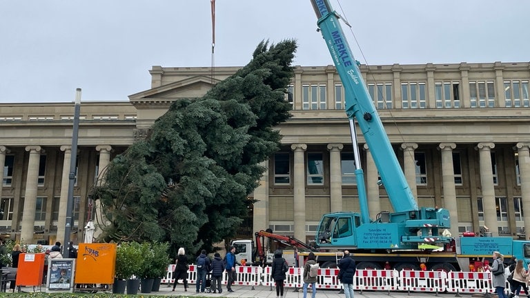 Während die Krisen überall gerade förmlich sprießen, ist zumindest auf dem Stuttgarter Schlossplatz heile Welt. Knapp drei Wochen vor dem ersten Advent wird am Freitagvormittag (8.11.) der Weihnachtsbaum in der Landeshauptstadt aufgestellt. Die 24 Meter hohe Nordmanntanne aus den Welzheimer Wald bringt satte zehn Tonnen auf die Waage. Ab nächster Woche wird sie an Gewicht auch noch zulegen, denn dann wird sie mit rund 40.000 Lichtern geschmückt.