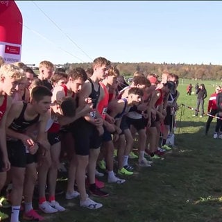 Viele Läufer und Läuferinnen am Start des Crosslaufs