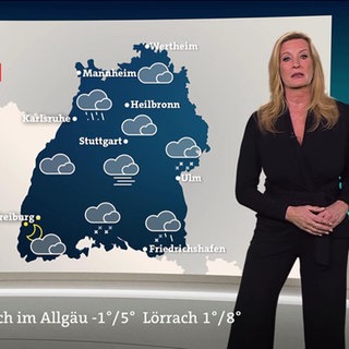 Wettermoderatorin Claudia Kleinert