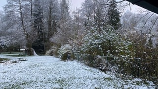 Eine zarte Schneedecke ist am Donnerstagmorgen in Wolfegg-Wassers im Allgäu zu sehen.