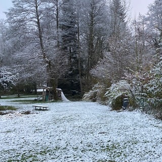 Eine zarte Schneedecke ist am Donnerstagmorgen in Wolfegg-Wassers im Allgäu zu sehen.