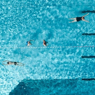 Mehrere Menschen schwimmen in einem Schwimmbecken, das von oben aufgenommen ist