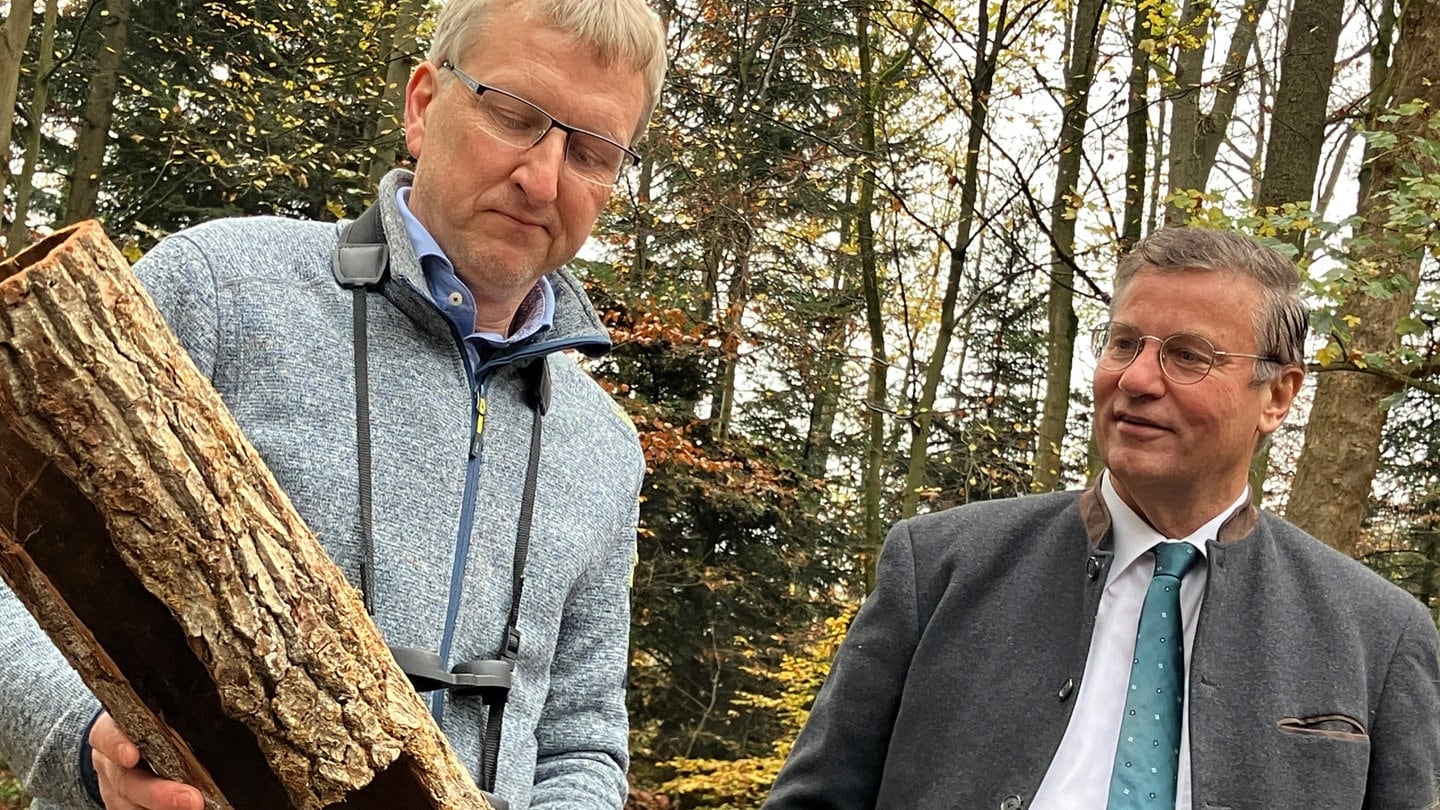 Peter Hauk (CDU, r), Forstminister von Baden-Württemberg, und Stefan Meining vom Büro für Umweltüberwachung stehen bei einem Pressetermin zur Vorstellung vom Waldzustandsbericht 2024 nahe dem Haus des Waldes. Hitze, Schädlinge und Umweltschäden haben dem baden-württembergischen Wald auch in diesem Jahr deutlich zugesetzt. Nach Angaben des Forstministeriums ist der Anteil deutlich geschädigter Waldbäume aber leicht zurückgegangen.